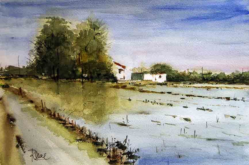 Rafa Leal. Aquarel·la. Albufera 