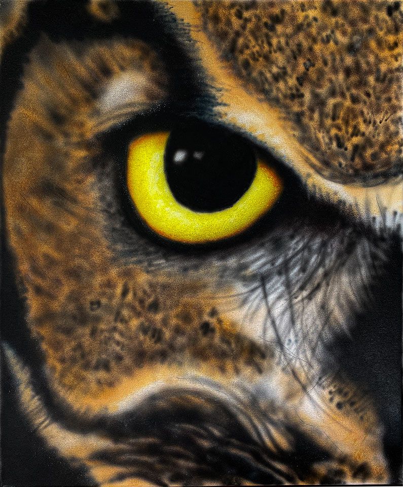 Miguel Nieto. Aerògraf. Ull d'animal. 