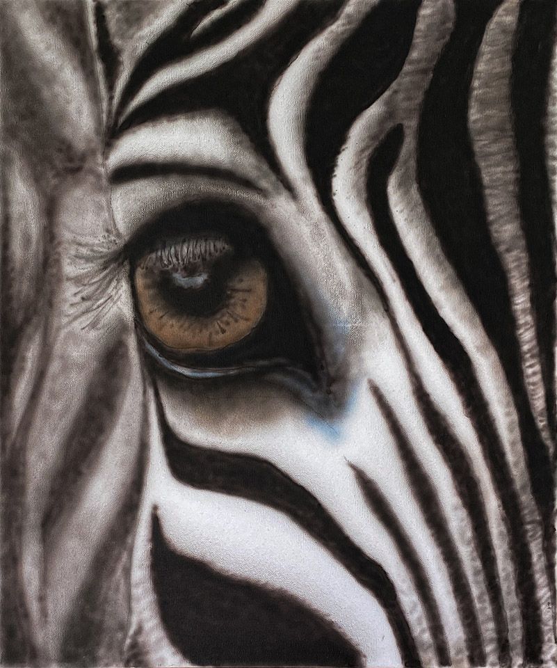 Miguel Nieto. Aerògraf. Ull d'animal. Zebra 