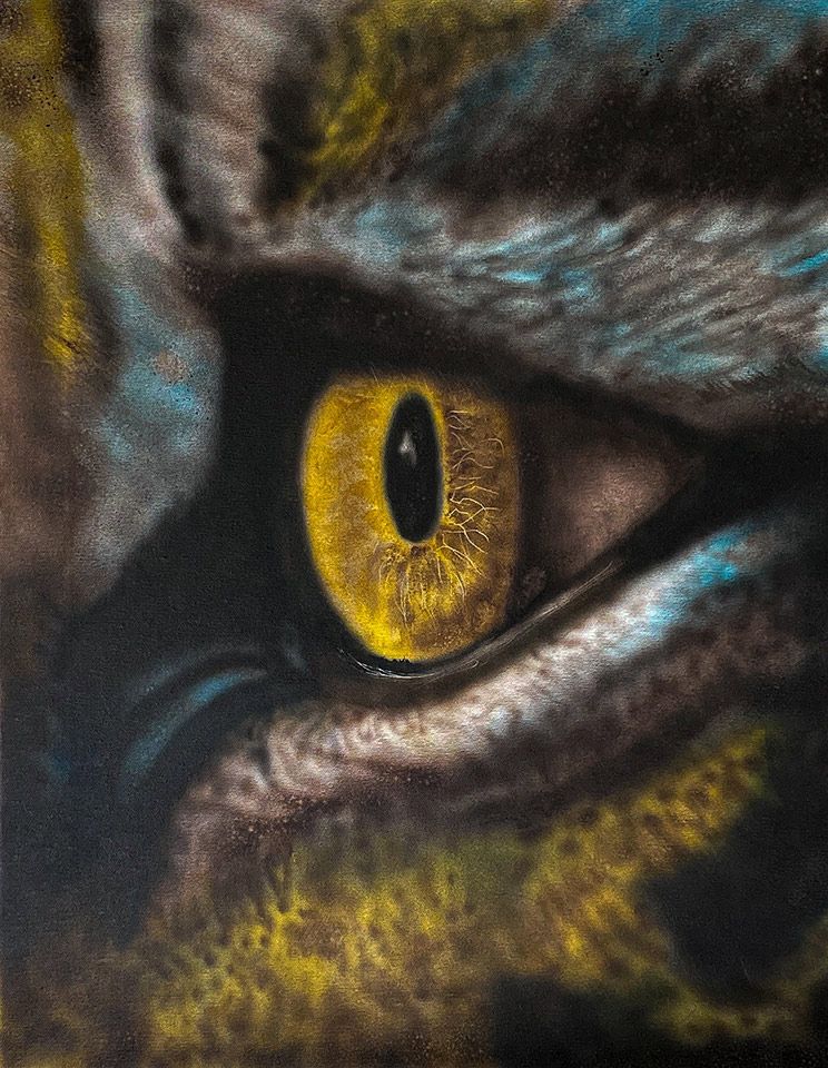 Miguel Nieto. Aerògraf. Ull d'animal. 