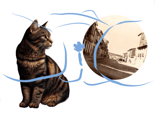 The Cat, the Land” i l’origen del món. Germà lloris 2024. Obres