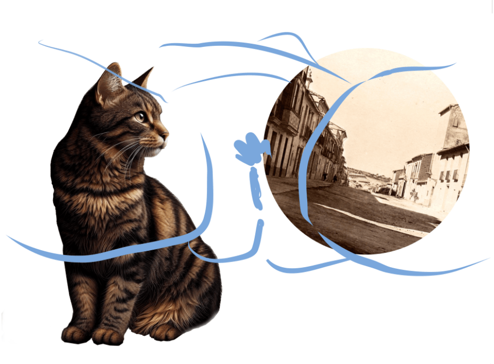The Cat, the Land” i l’origen del món. Germà lloris 2024. Obres 