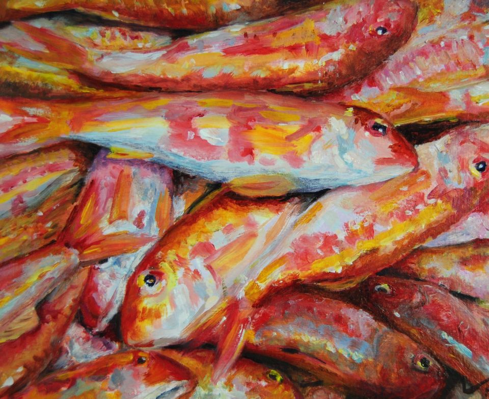 Colorful fish in vibrant hues 